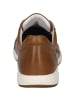 Josef Seibel Sneaker Caren 01 in beige