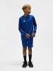 Hummel Sweatshirt Hmlessential Kinder in TRUE BLUE