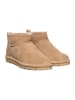 Bearpaw Stiefel Shorty Iced Coffee in braun