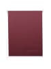 MCW Rollo D52, 80x160cm, Bordeaux