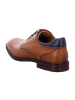 LLOYD Elegante Schnürschuhe in Braun