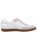 Paul Green Schnürschuhe in pearl/white