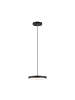 paulmann LED Pendelleuchte Hildor