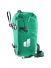 Deuter Bike Weybridge 20+5 - Hinterradtasche 40 cm in fern