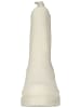 Steve Madden Stiefelette in Beige