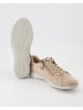 Hartjes Sneaker low in Beige