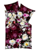 kaeppel 2 tlg. Mako Satin Bettwäsche 135x200cm Ruby Dreams in Beere