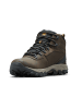 Columbia Sneakers High NEWTON RIDGE PLUS II WATERPROOF in braun