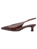 Tamaris Slingpumps in MUSCAT CROCO