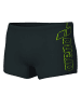 Arena Scratchy Swim Short in Anthrazit