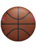 Wilson Wilson Team Alliance Toronto Raptors Ball in Braun