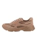 Steve Madden Sneaker FRONT ROW in Tan