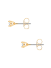 Lulu & Jane Ohrstecker aus Messing mit Zirkonia in gelbgold