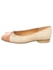 Gabor Ballerinas für Damen in beige