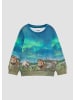 s.Oliver Sweatshirt  in  00D1_neon