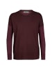 icebreaker Pullover Shearer Crewe Sweater in Rot