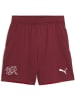 Puma Sporthose "SFV Shorts Replica Jr" in Rot