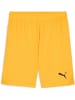 Puma Sporthose "TeamGoal Shorts" in Orange