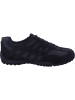 Geox Schnürschuh in schwarz