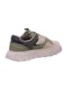 Apple of Eden Sneaker in beige
