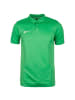 Nike Performance Poloshirt Academy 18 in grün / weiß