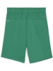 Puma Sporthose "TeamGoal Shorts Jr" in Grün