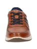 Sioux Sneaker Cayhall-702 in cognac