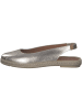 Verbenas Ballerinas & Slipper in Oro
