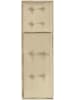 Aspero 2 Polsterauflagen Sonnenliegenauflage in Beige