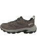 Jack Wolfskin Outdoorschuhe Vojo Tour Texapor Low M in dunkelbraun