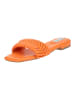 Steve Madden Pantoletten in Orange