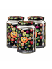 Ritzenhoff & Breker 3er Set Vorratsgläser Smile 1,7 l in transparent