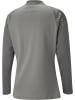 Puma T-Shirt "TeamCUP Training 1/4 Zip Top" in Grau