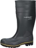 Dunlop Stiefel Acifort in grün