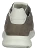 BRAX  Sneaker in Taupe