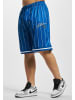 FUBU FUBU Mesh-Shorts in blue/white