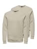 ONLY & SONS Sweatshirt Ceres in Beige