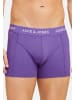 Jack & Jones Retro Short / Pant Rob Solid in Grün / lila / schwarz