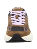 Sun68 Sneaker Low in braun