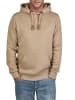 DENIMFY Sweatshirt DFIvo in Beige