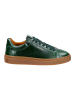 GANT Footwear Sneaker in Grün