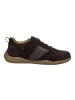 Josef Seibel Sneaker Wallace 07 in braun