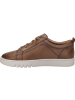 Josef Seibel Sneaker Jessie 01 in beige