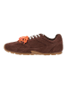 Steve Madden Sneaker MIDAS-O Chocolate