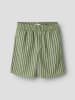 name it Shorts in Swamp