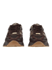 Steve Madden Sneaker SPEEDER in Chocolate