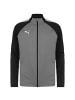 Puma Trainingsjacke TeamLIGA in grau / schwarz