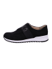 Finn Comfort Sneaker in schwarz