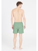 Cruz Shorts Eyemouth in 3138 Green Bay