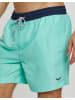 Threadbare Badeshorts THBPenglai in Mint